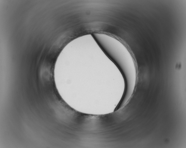 X0000111490140200908251034