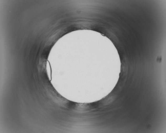 X0000111490141200908251034
