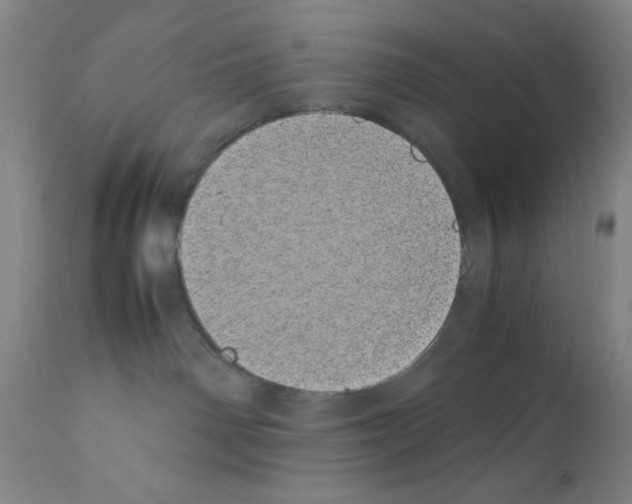 X0000111490142200908251034