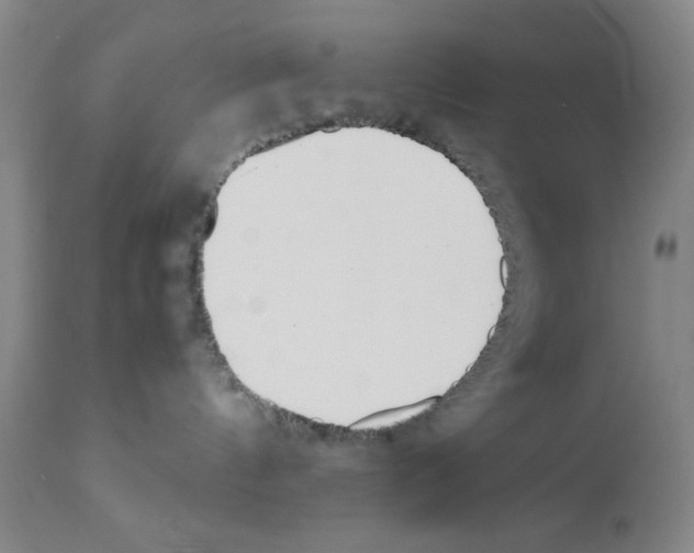 X0000111490144200908251034
