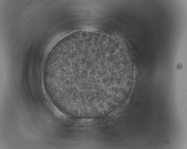 X0000111490145200908251034
