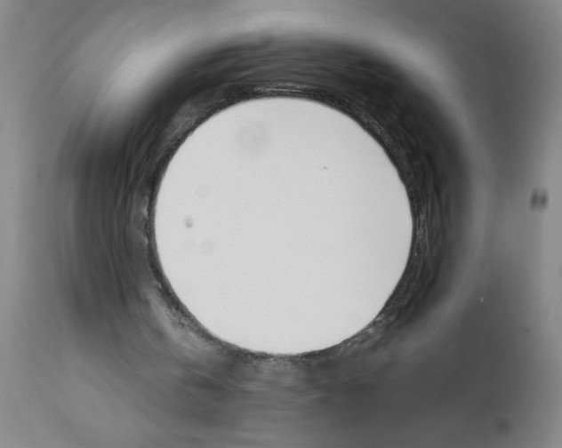 X0000111490146200908251034