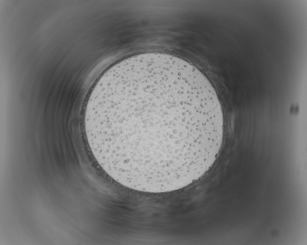 X0000111490147200908251034