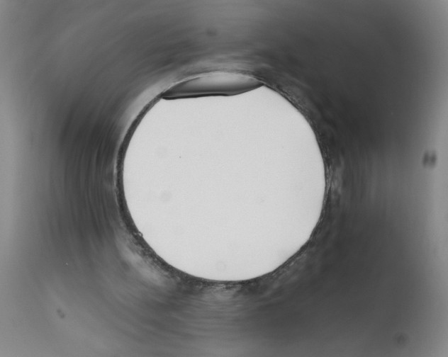 X0000111490148200908251034