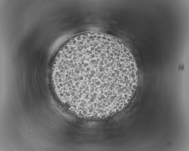 X0000111490149200908251034