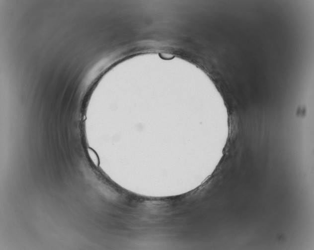 X0000111490150200908251034