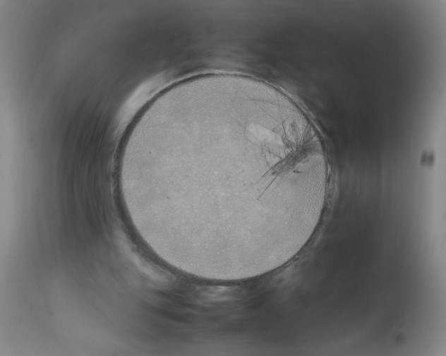 X0000111490151200908251034