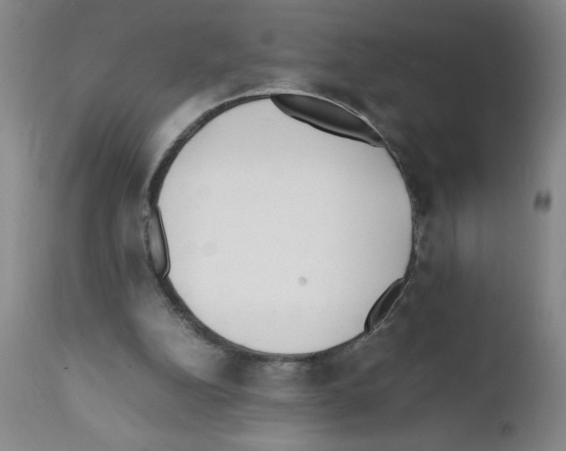 X0000111490152200908251034