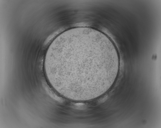 X0000111490153200908251034