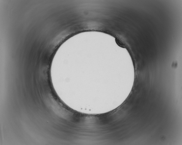 X0000111490154200908251034