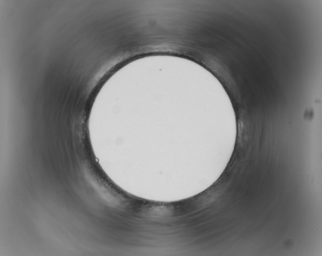 X0000111490156200908251034