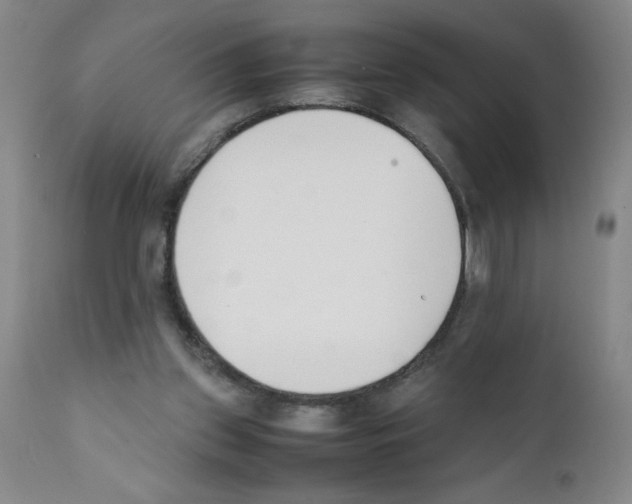 X0000111490157200908251034