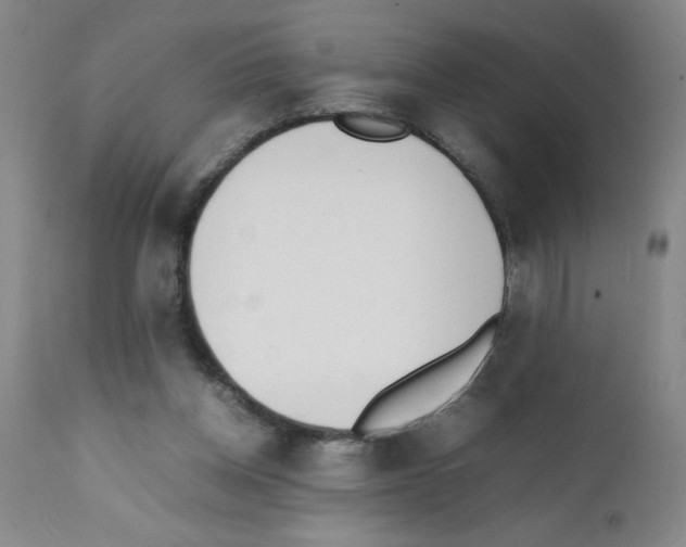 X0000111490158200908251034