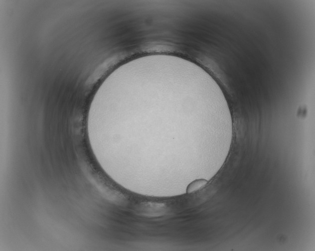 X0000111490159200908251034