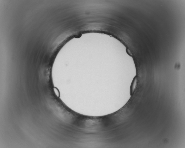 X0000111490160200908251034
