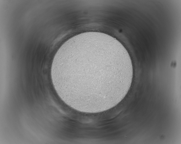 X0000111490161200908251034