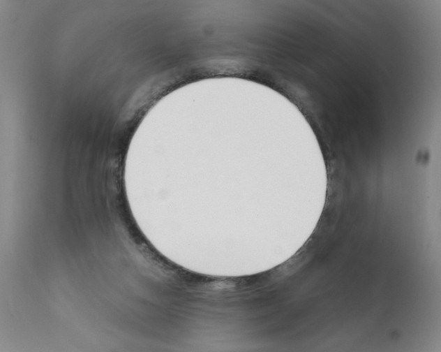 X0000111490162200908251034