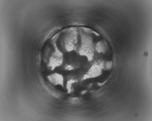 X0000111490163200908251034