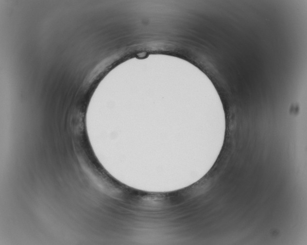 X0000111490164200908251034