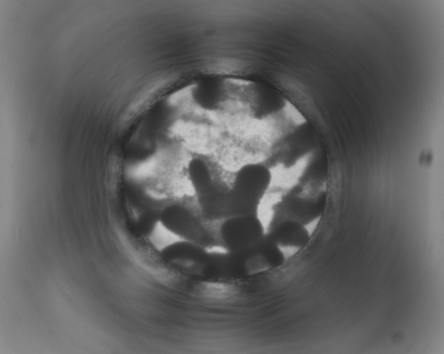 X0000111490167200908251034