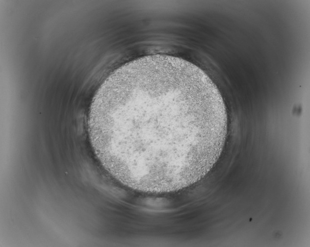 X0000111490169200908251034