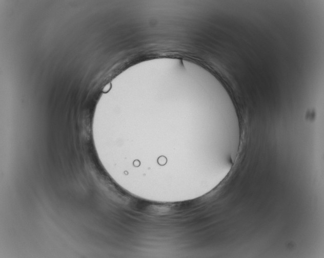 X0000111490170200908251034