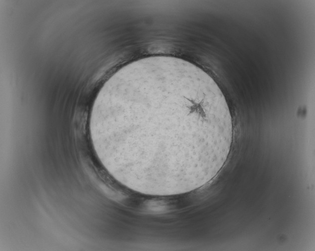 X0000111490171200908251034