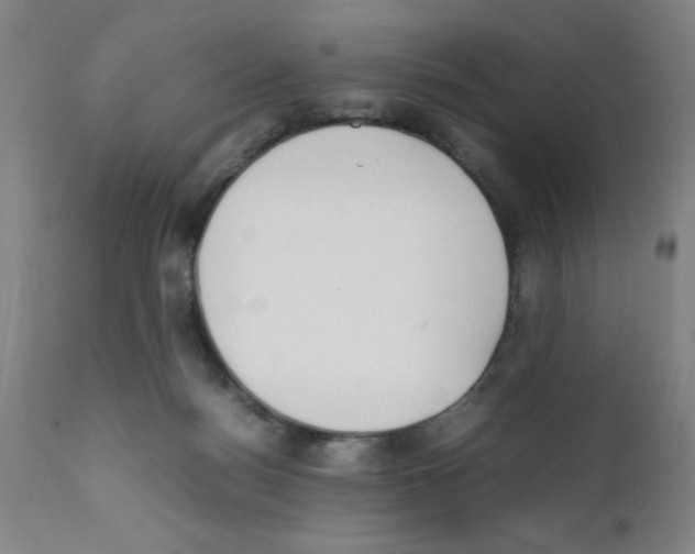 X0000111490172200908251034
