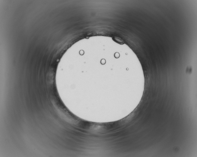 X0000111490174200908251034