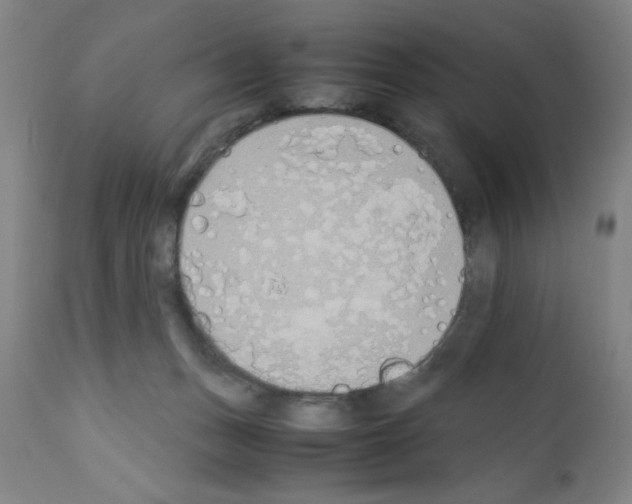 X0000111490175200908251034