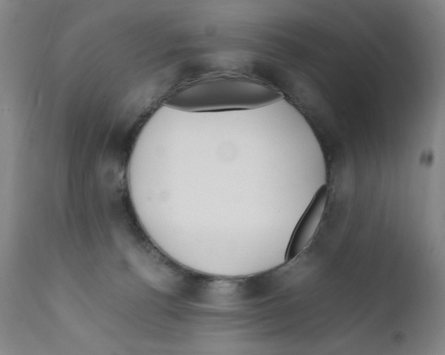 X0000111490176200908251034