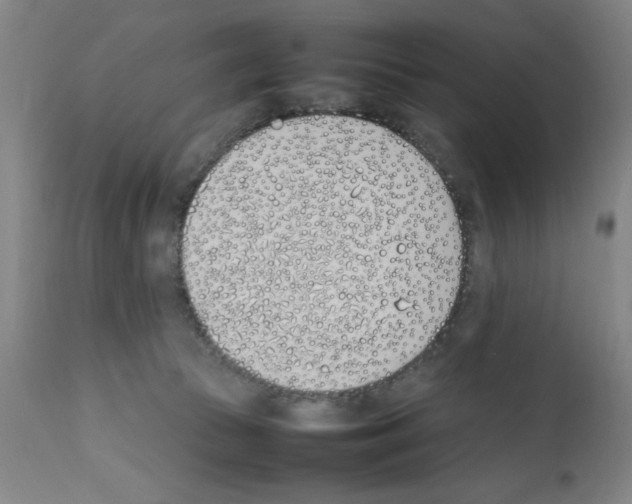 X0000111490177200908251034