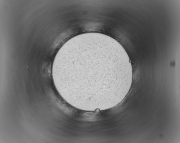 X0000111490179200908251034