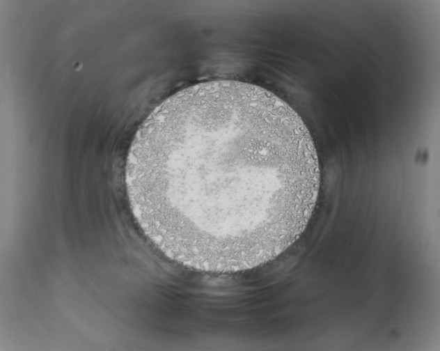 X0000111490181200908251034