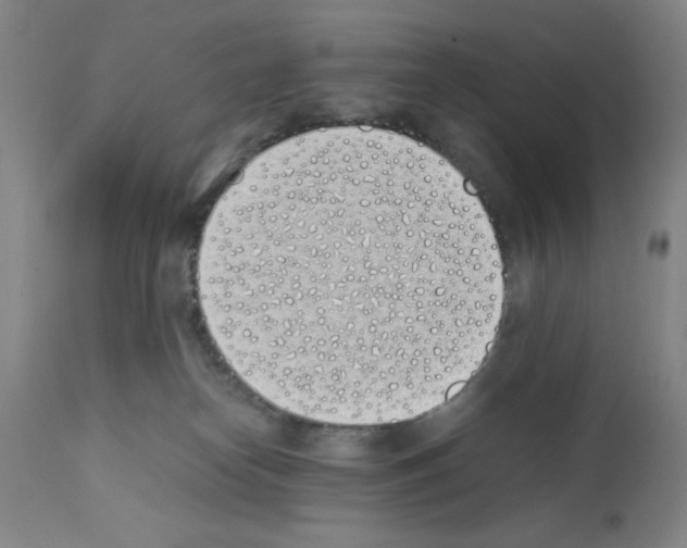 X0000111490182200908251034
