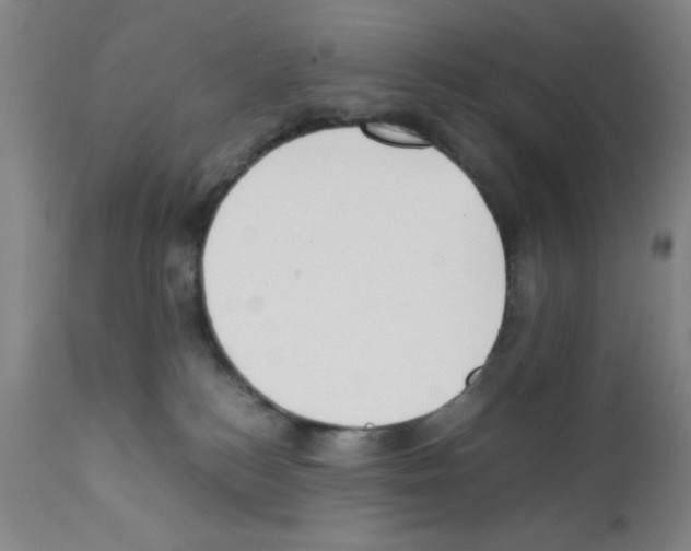 X0000111490184200908251034