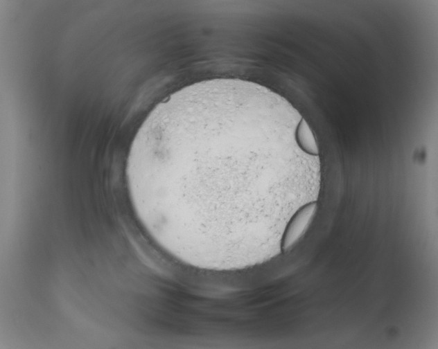 X0000111490185200908251034