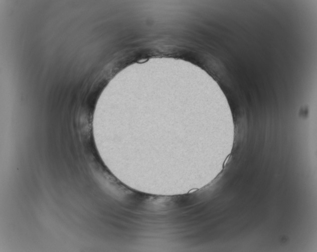 X0000111490186200908251034