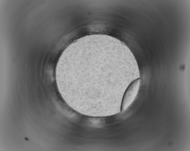X0000111490187200908251034