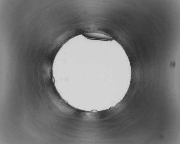 X0000111490188200908251034