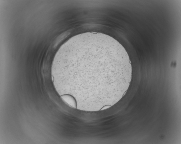 X0000111490189200908251034