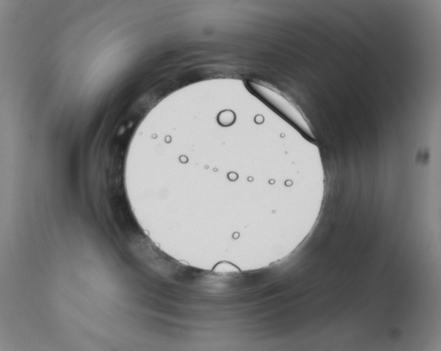 X0000111490190200908251034