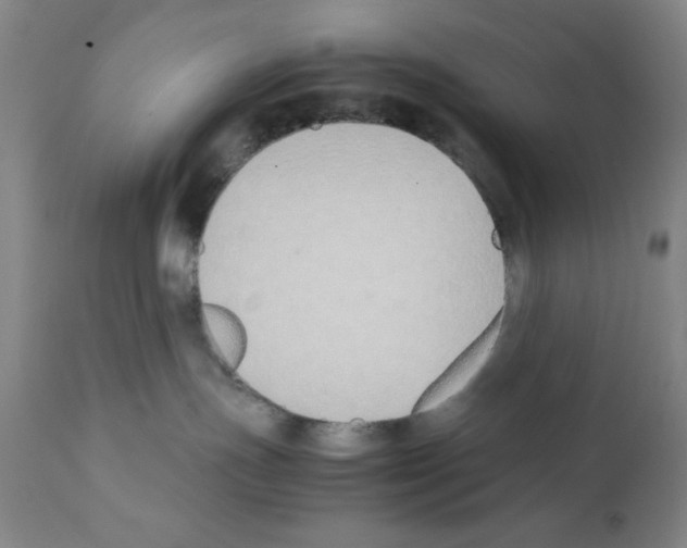 X0000111490191200908251034