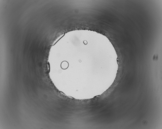 X0000111490192200908251034