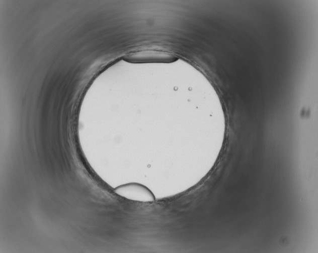 X0000111490193200908251034