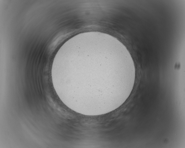 X0000111490194200908251034