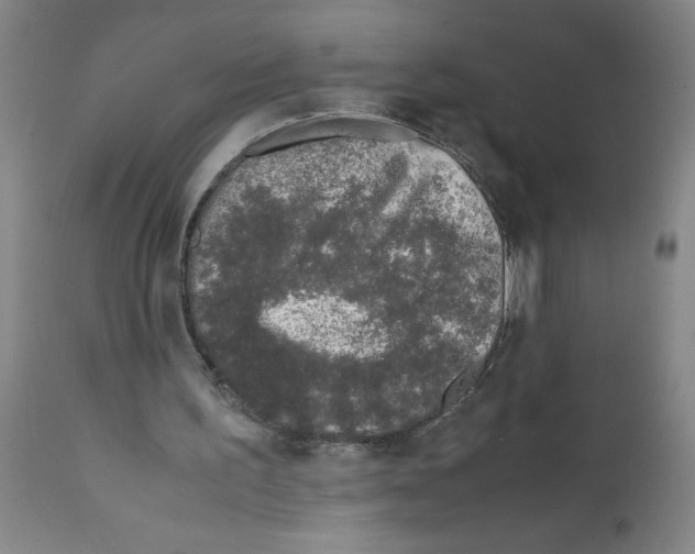 X0000111490195200908251034