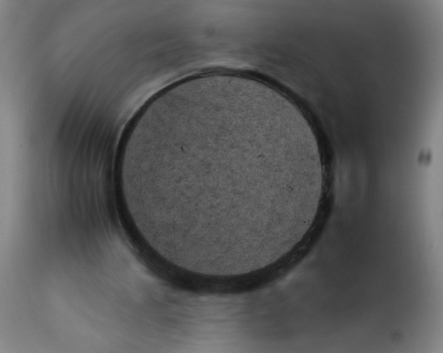 X0000111490196200908251034