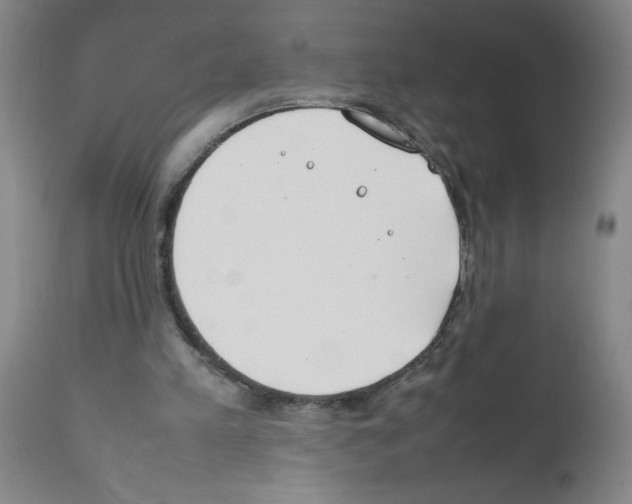 X0000111490197200908251034