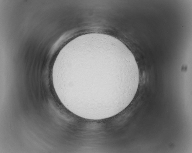 X0000111490198200908251034